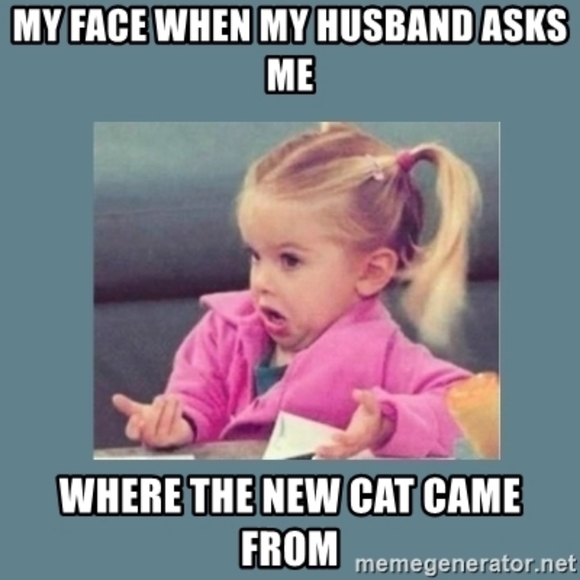 Meet your Posher, Rita - Picture 2 of 2